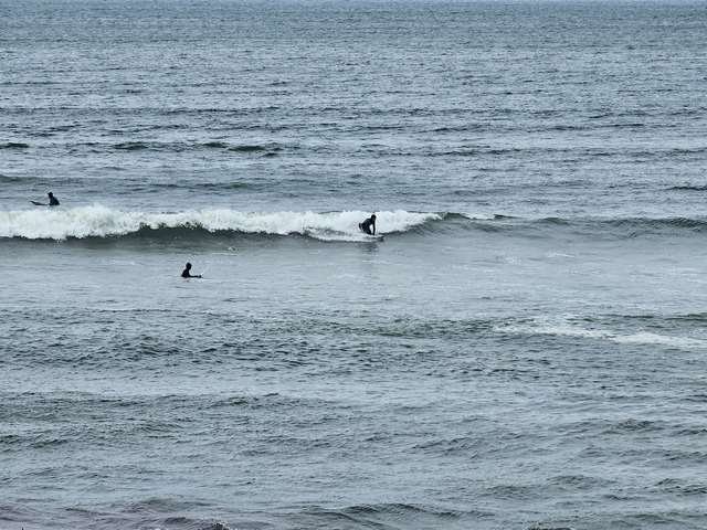 Surfer kneeboarding in front of the shop